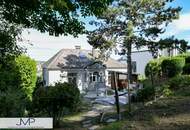 Villa mit herrlichem Ausblick über das Wiental und die Stadt