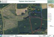 Vielseitiges Grundstück mit Landwirtschaftsfläche, Wald und Baupotenzial in Aigen