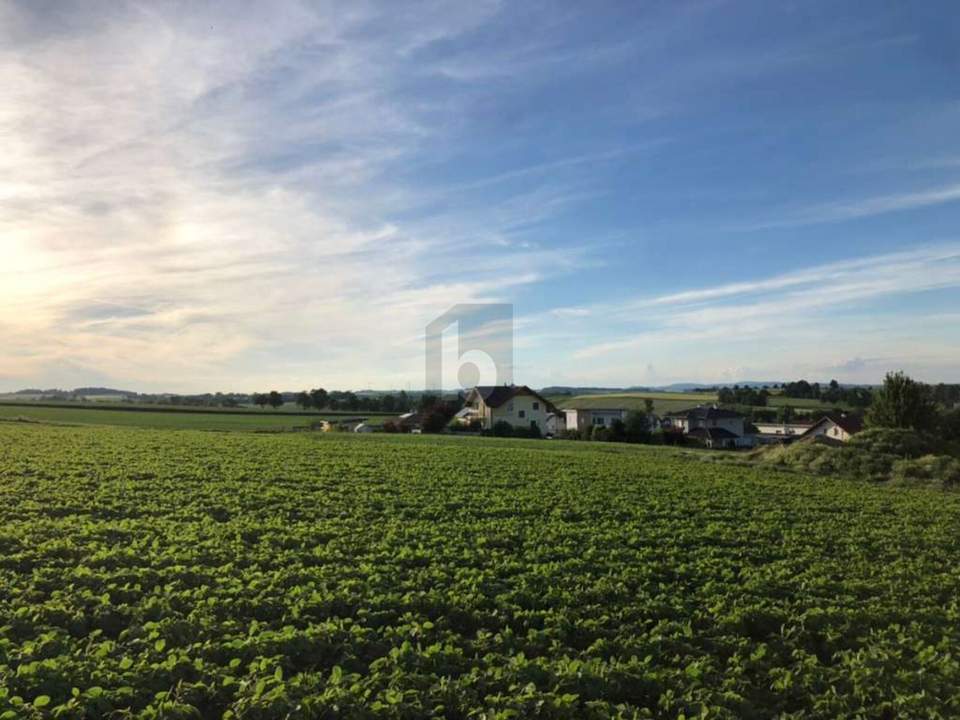 Preisreduktion! SONNIGE RUHELAGE MIT SUPER INFRASTRUKTUR!