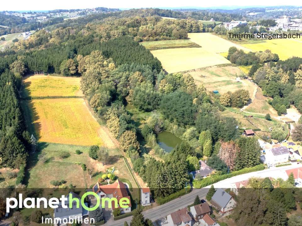 Direkte Thermennähe in Stegersbach – Traumobjekt mit Altbestand, Fischteich und Wald
