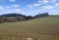 Landwirtschaftliche Nutzflächen in St. Agatha / Waizenkirchen