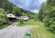 Altbestand auf wunderschönem Grundstück, gesamt ca. 4.700m² (Bauland/Wiesen/Wald) beim Wald nach der Hermannshöhle in absoluter Ruhe- &amp; Naturlage.