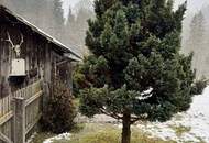 GROSSZÜGIGES LANDHAUS IN TOPZUSTAND BEI MÜRZSTEG