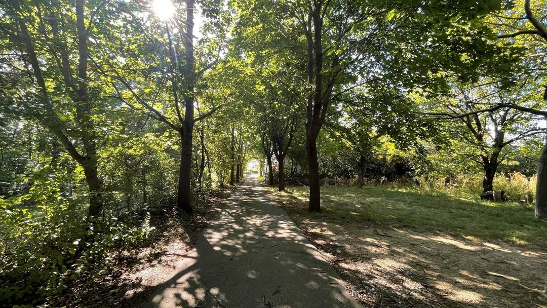 Ruhig gelegenes Baugrundstück mit eigener Zufahrt in Bad Fischau-Brunn