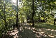 Ruhig gelegenes Baugrundstück mit eigener Zufahrt in Bad Fischau-Brunn