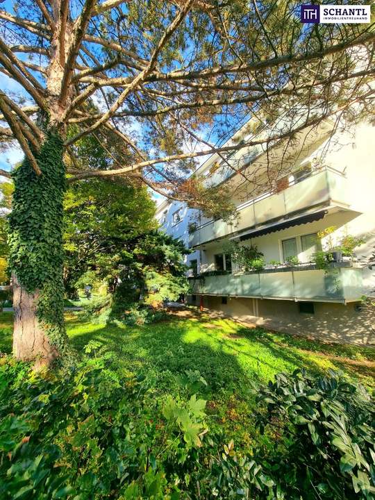 Absolute Grün- und Ruhelage! Gebraucht. Gepflegt. Geliebt! Perfekt aufgeteilte 3-Zimmer + separate Küche / 2 Balkone / Viele Möglichkeiten! Ruhig wohnen, gut leben!