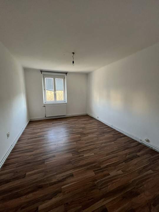 Pärchenhit in Gmünd