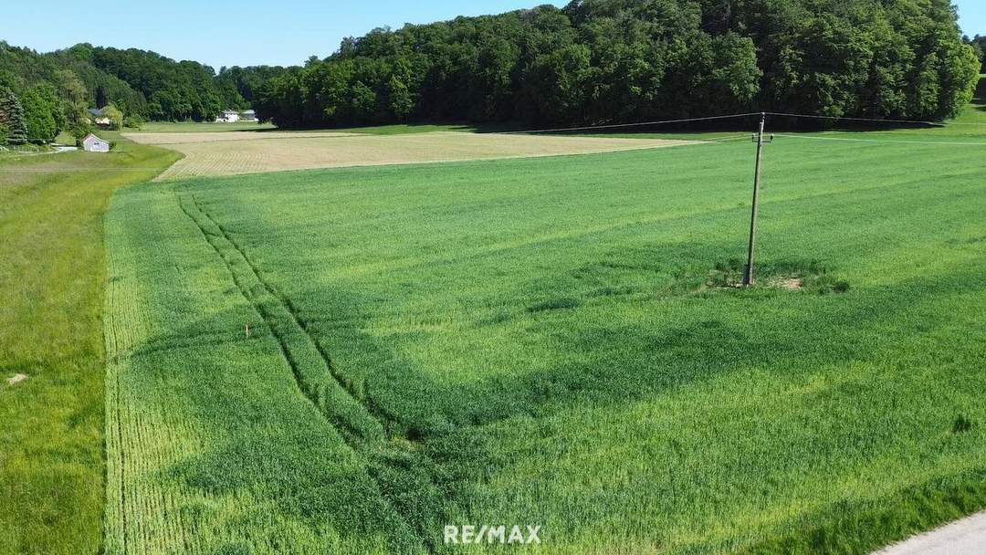 Sonniges Grundstück in Alleinlage