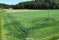 Sonniges Grundstück in Alleinlage