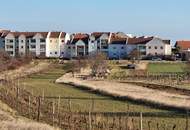 Großzügige Familienwohnung mit Tiefgarage in der Storchenstadt Rust am See