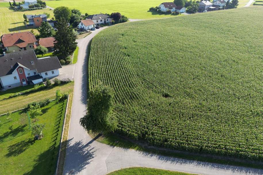 Top Grundstücke in Breitenried, Grund und Boden-kauf, 52.000,€, 4753 Ried im Innkreis
