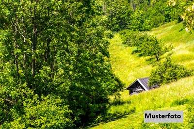 Land- und Forstwirtschaftl. Anwesen mit Hofstelle