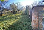 Weinkeller im Bau und Wohngebiet nahe Ortszentrum