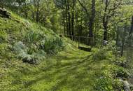Einmaliges Ambiente inmitten des Waldes - Das ist Entschleunigung pur!