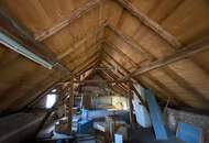 Bauernhof an der Hohen Wand " SINCE 1804 !!
