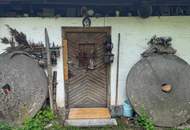 Sacherl im Grünen