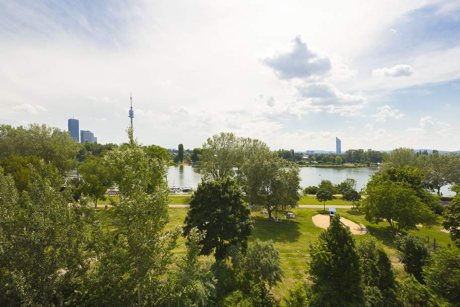 STEPHENSONGASSE -AN DER OBEREN ALTEN DONAU---2 ZIMMER DG-WOHNUNG MIT BALKON---, Wohnung-miete, 1.239,58,€, 1210 Wien 22., Donaustadt