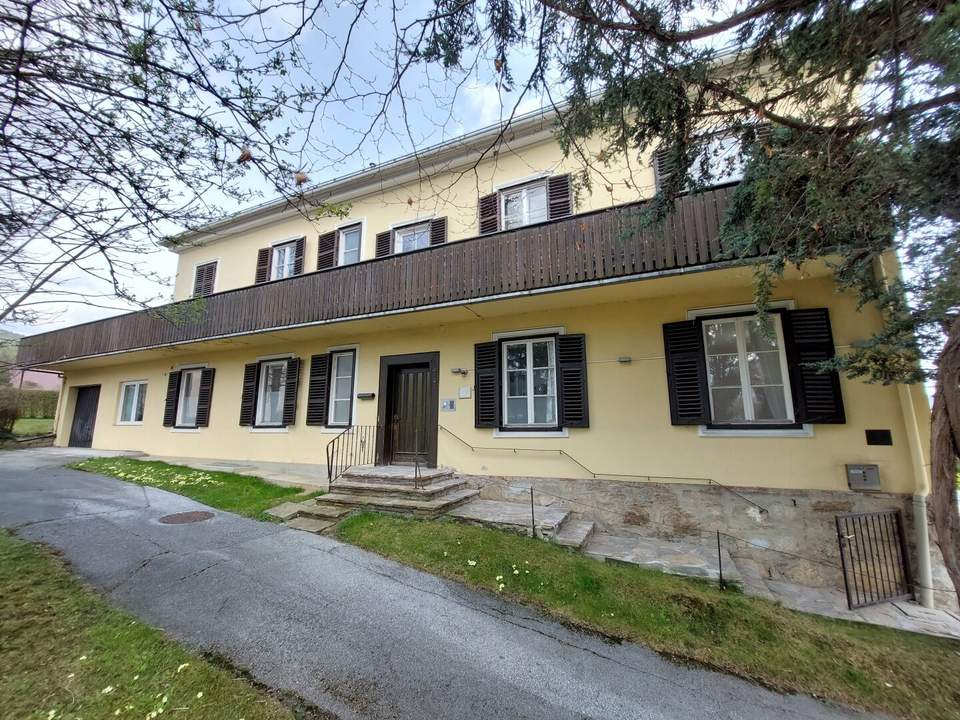 Großzügiges historisches Gebäude in tollem Zustand mit viel Potential