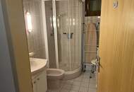 Großzügige Familienwohnung in der Storchenstadt Rust am See