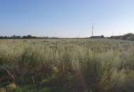 Landwirtschaftliche Fläche mit Zukunftspotenzial