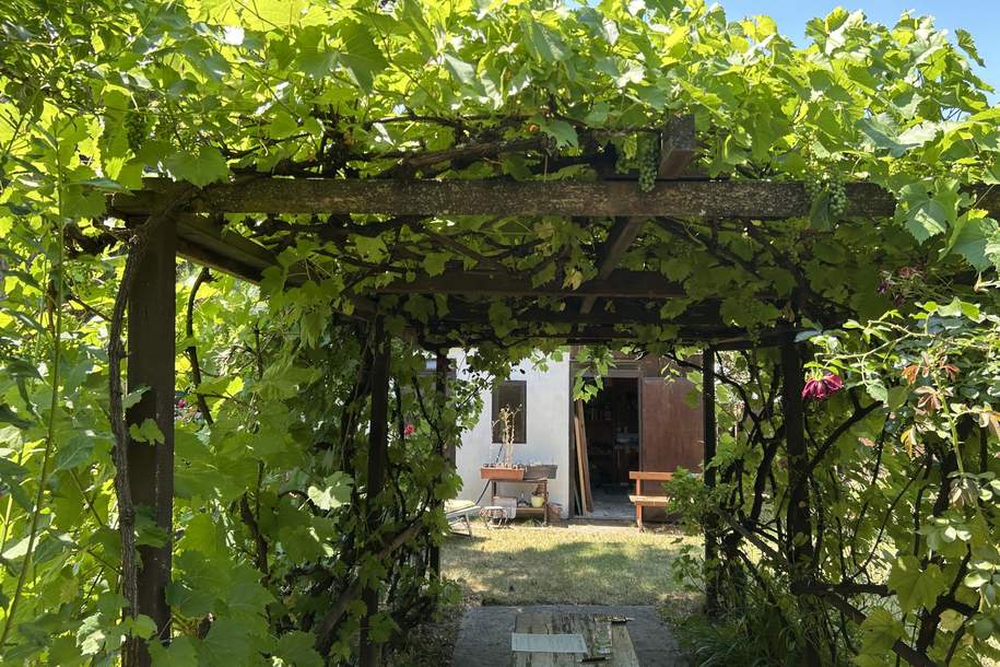 Sommerhaus im Weinviertel im schönen Kreuttal, Haus-kauf, 85.000,€, 2122 Mistelbach