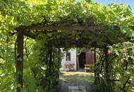 Sommerhaus im Weinviertel im schönen Kreuttal