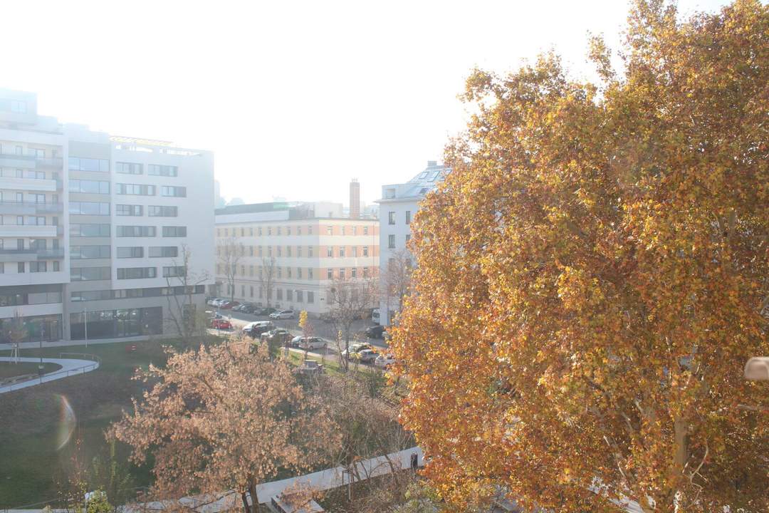 Unverbaubarer Parkblick, sonnig und ruhig!