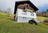 Gemütliches Einfamilienhaus in Hofstadtgegend