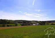 Sonderpreis - Grundstück in Ruhelage mit Panoramablick zum Kauf!