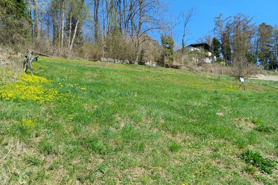 Sonnige Hanglage mit schönem Gebirgs- und Fernblick!, Grund und Boden-kauf, 139.000,€, 4663 Gmunden