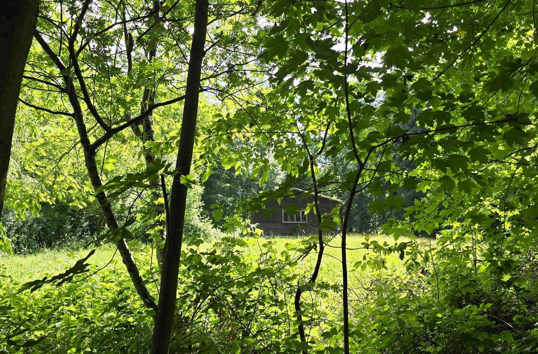 Landwirtschaftliche Fläche mit Waldgrundstück und Gebäude