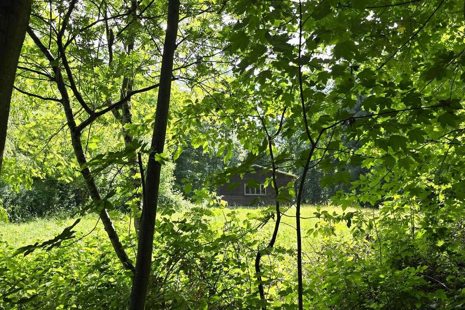 Landwirtschaftliche Fläche mit Waldgrundstück und Gebäude, Grund und Boden-kauf, 35.000,€, 8254 Hartberg-Fürstenfeld