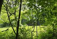 Landwirtschaftliche Fläche mit Waldgrundstück und Gebäude