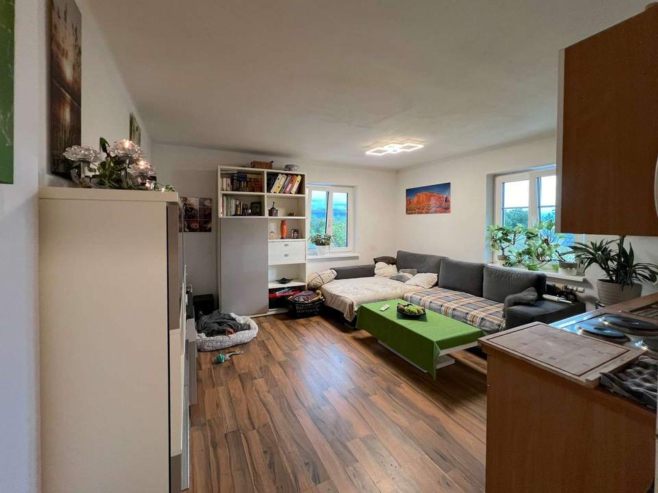 Ruhige Lage im Grünen: Singlewohnung mit Parkplatz ab Dezember zu vermieten!