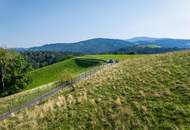 Landhaus mit Scheibengrundstück 23 Minuten vor Graz!