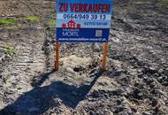 Doppeltes Potenzial: Zwei Grundstücke in Toplage