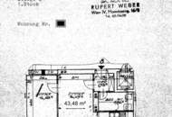 Modernes Wohnen mit Kleinstadt-Charme: Frisch sanierte, lichtdurchflutete elegante Wohnung in Stockerau