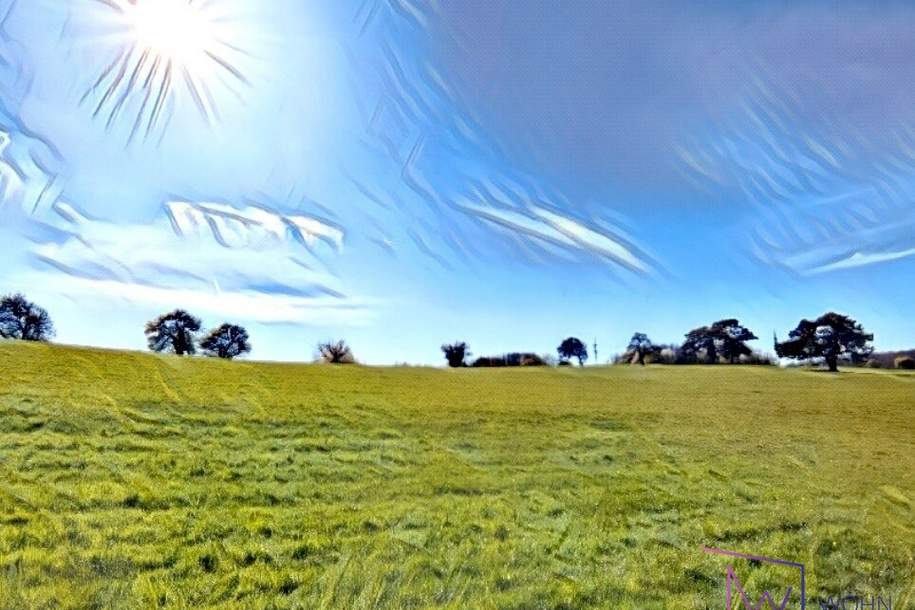 Großzügiger Baugrund in bester Lage und Altbestand, Grund und Boden-kauf, 698.000,€, 2384 Mödling