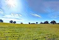 Großzügiger Baugrund in bester Lage und Altbestand