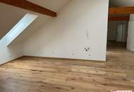 Dachoase- Penthouse Wohnung in Graz