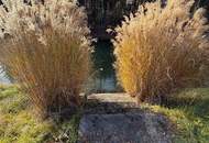 Einzigartiges Baugrundstück mit großem Schwimmteich in Graz