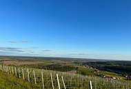 WEINIDYLLE SÜDBURGENLAND - Weinkeller im schönen, sonnigen Eisenberg