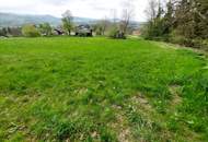 Wald und Wiese mit Hütte