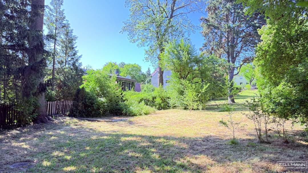Seltene Gelegenheit: Traumhaft gelegenes Grundstück in Mauer | ZELLMANN IMMOBILIEN