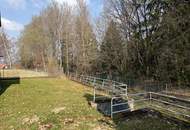 Gepflegtes Einfamilienhaus in ruhiger Waldrandlage - Heidenreichstein