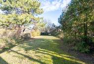 "Start your life near fresh water-Alte Donau"