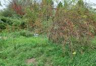 Genug Platz für Ihr Traumhaus!