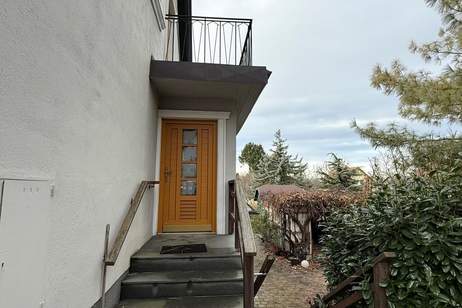 Großfamilienhit - zwei Häuser mit großem Garten, Haus-kauf, 640.000,€, 2801 Wiener Neustadt(Land)