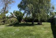 Urbanes Wohnen mit großem Garten mit kleinem Einfamilienhaus in Essling