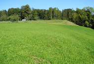 Hübsche, landwirtschaftliche Wiese mit kleinem Wald - KEIN Baugrund !!!